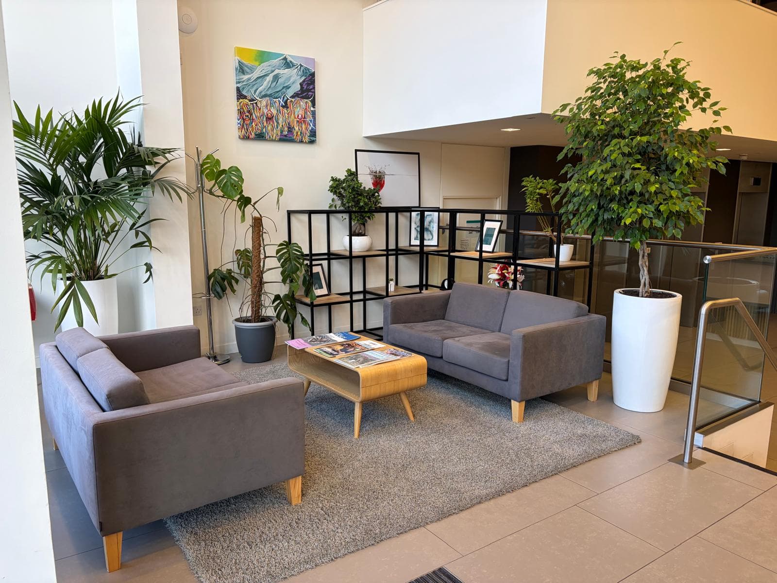 A waiting area off reception with grey sofas, a low timber table, shelving, framed artwork and large planters